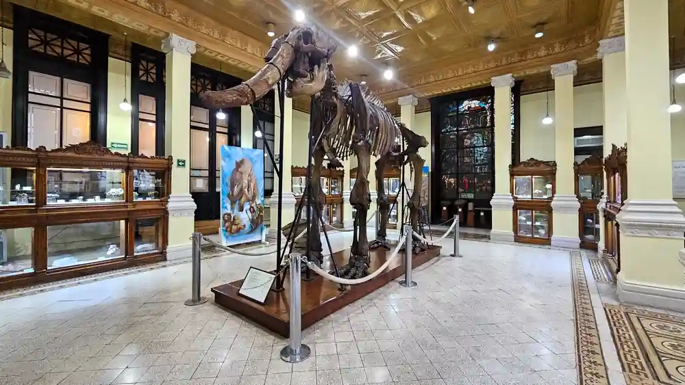 dia-del-museo-autovias