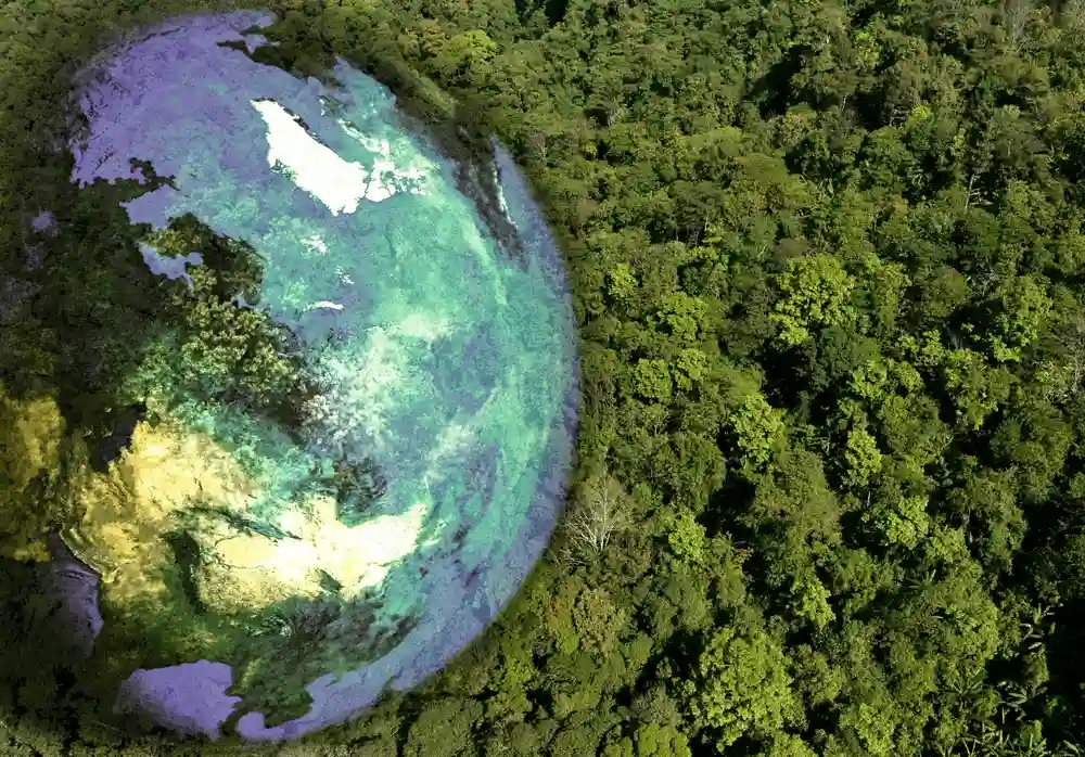 dia-mundial-del-medio-ambiente