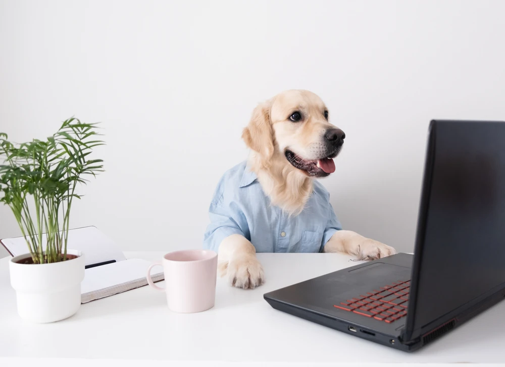 dia-llevar-perro-trabajo-autovias