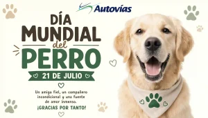 dia-mundial-del-perro-