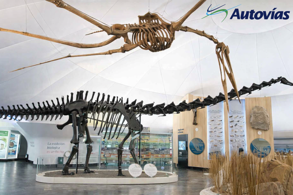 museos-cdmx-2026