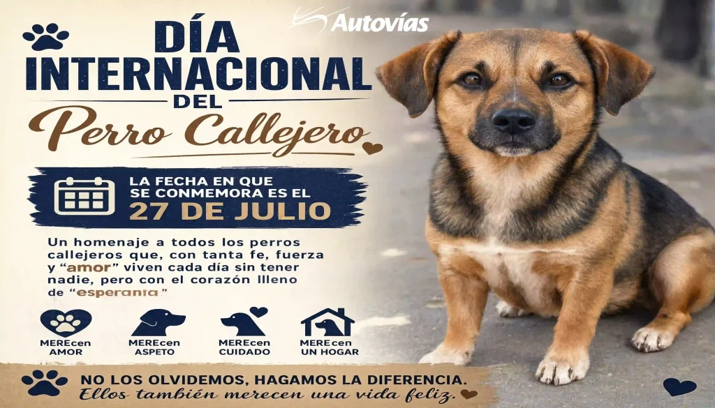 dia-del-perro-callejero