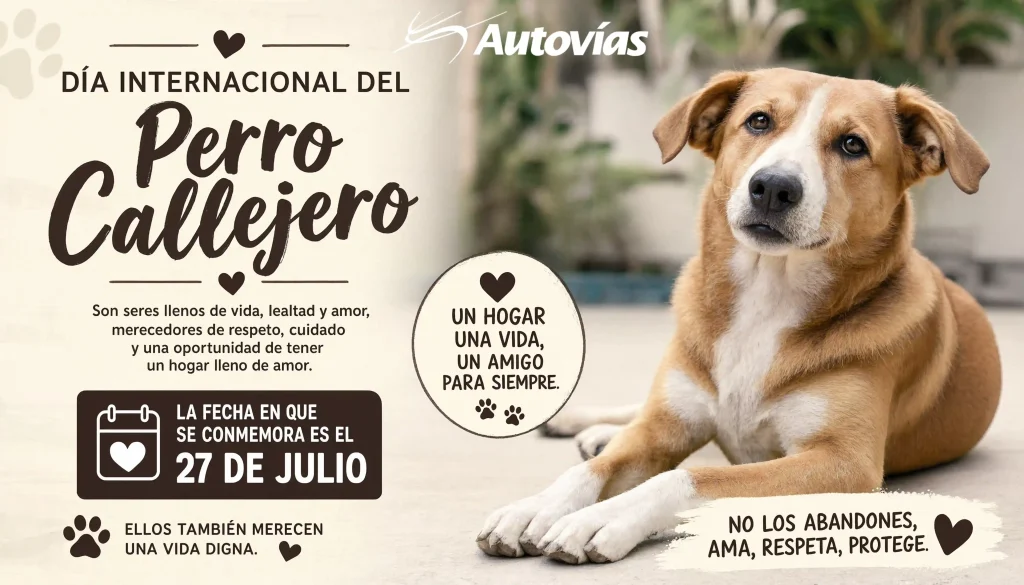 dia-del-perro-callejero-2026