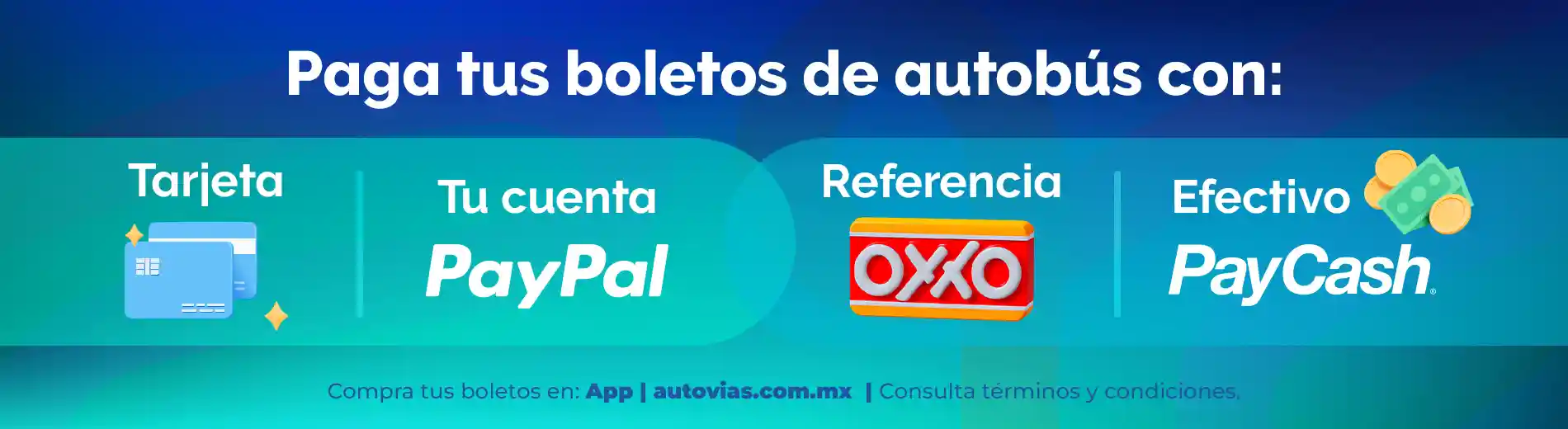 Metodos de Pago con Autovias