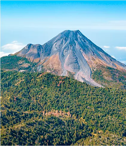 Colima