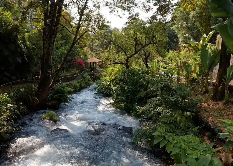 Caudal del río Cupatitzio fluyendo entre la vegetación exuberante del Parque Nacional Barranca del Cupatitzio.
