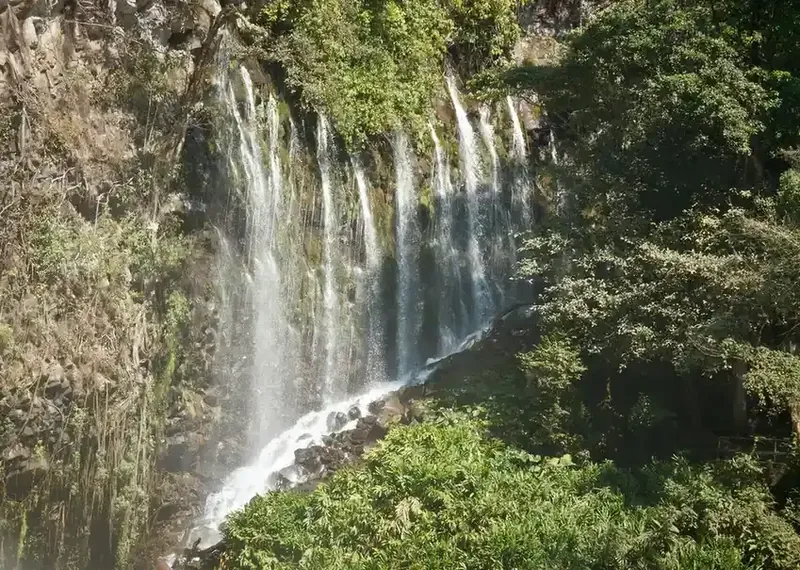 Cascada de La Tzaráracua cayendo por una pared rocosa rodeada de abundante vegetación en Uruapan.