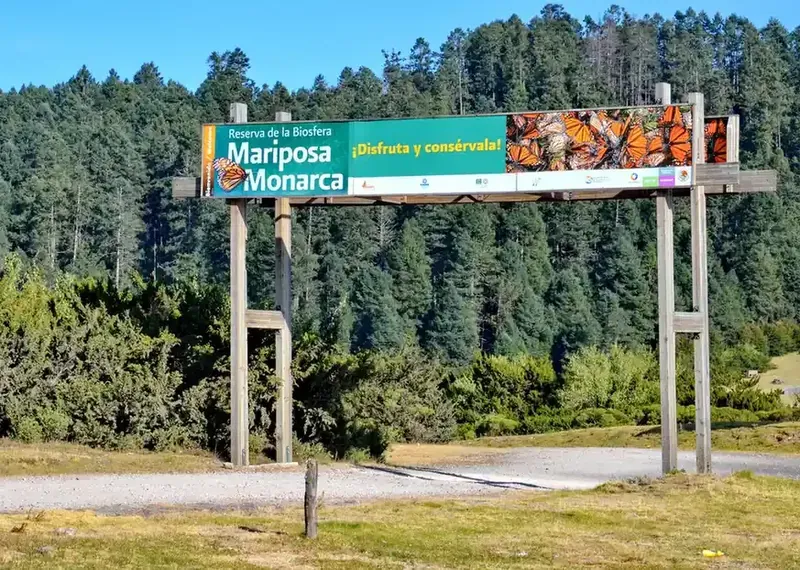 Letrero de bienvenida a la Reserva de la Biosfera Mariposa Monarca con fondo de bosque de pinos.