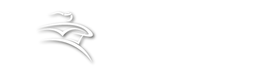 Logo Paqueteria