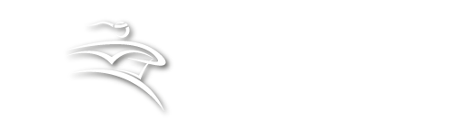 Logo Paqueteria